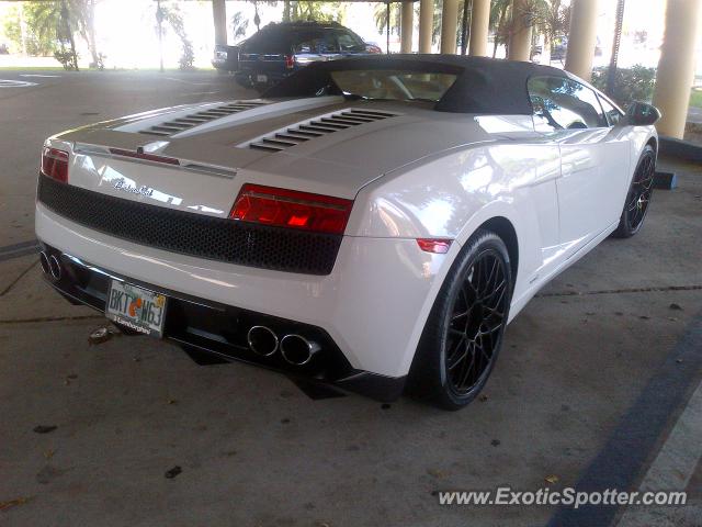 Lamborghini Gallardo spotted in Hollywood, Florida