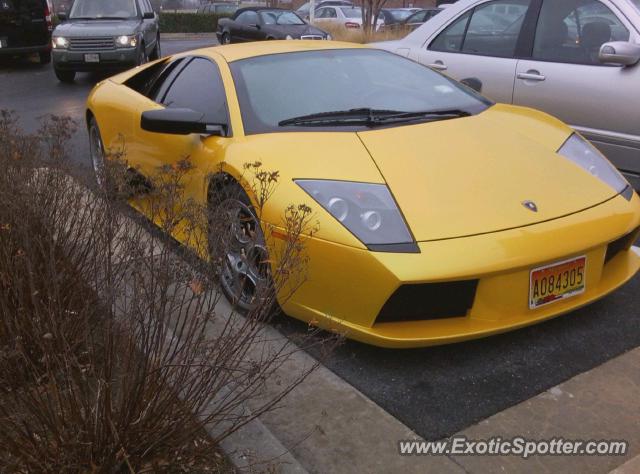 Lamborghini Murcielago spotted in Bethesda, Maryland