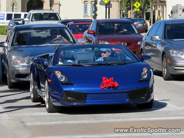 Lamborghini Gallardo spotted in Palm Beach, Florida