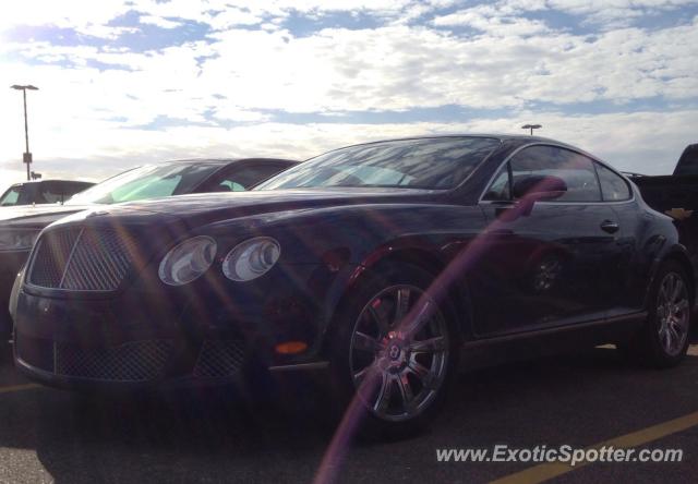 Bentley Continental spotted in Boston, Massachusetts