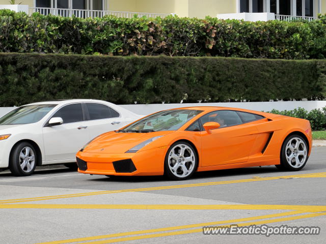 Lamborghini Gallardo spotted in Palm Beach, Florida