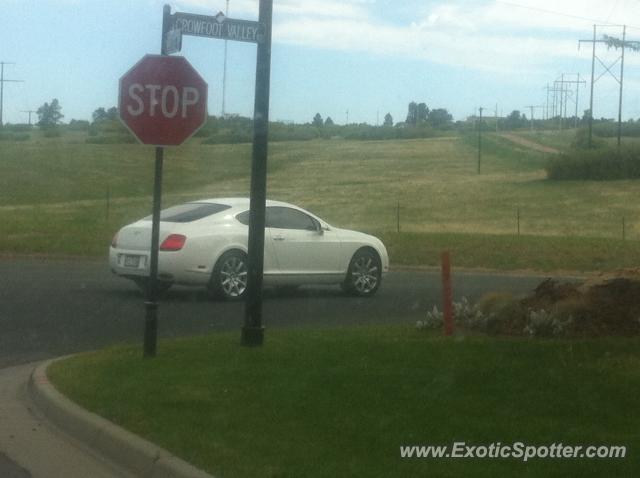 Bentley Continental spotted in Castle Rock, Colorado