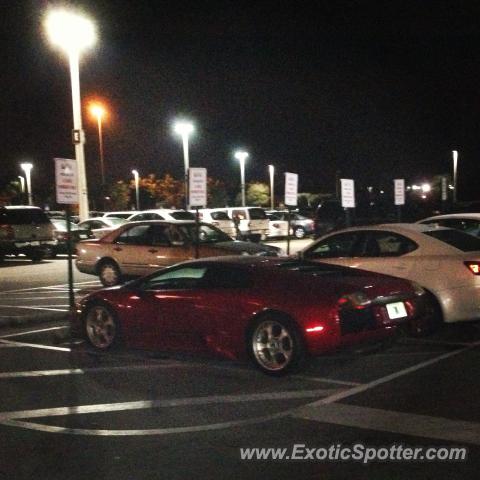 Lamborghini Murcielago spotted in Coconut Creek, Florida