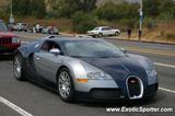 Bugatti Veyron