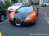 Bugatti Veyron