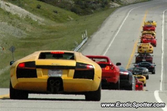 Ferrari Enzo spotted in BC and ALBERTA, Canada