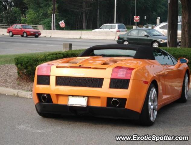 Lamborghini Gallardo spotted in Paramus, New Jersey