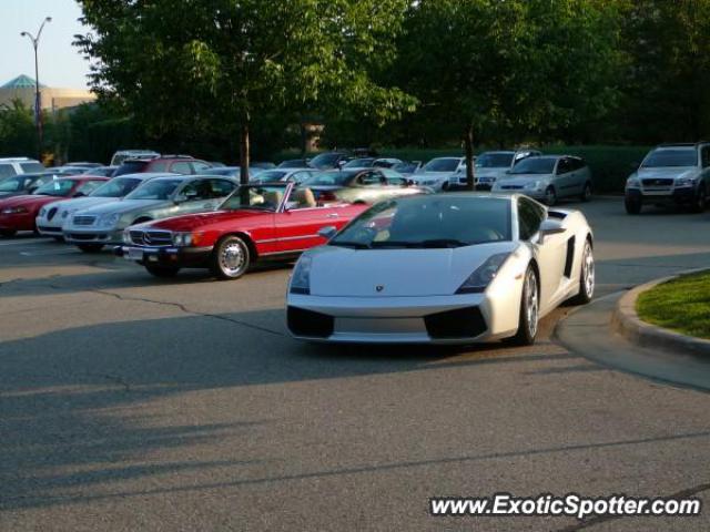 Lamborghini Gallardo spotted in Troy, Michigan