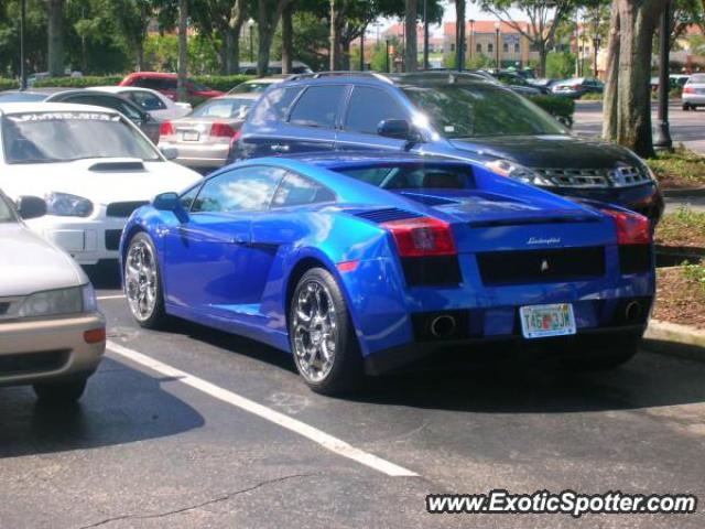 Lamborghini Gallardo spotted in Orlando, Florida