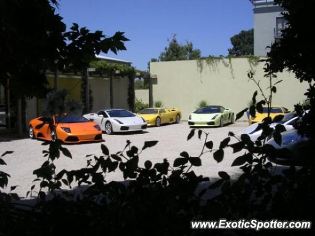 Lamborghini Murcielago spotted in Healdsburg, California