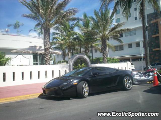 Lamborghini Gallardo spotted in Miami, Florida