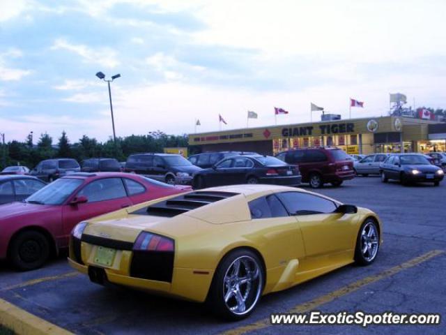 Lamborghini Murcielago spotted in Markham, Canada