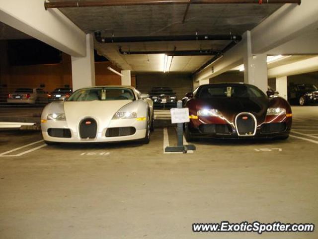 Bugatti Veyron spotted in Dubai, United Arab Emirates