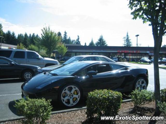 Lamborghini Gallardo spotted in Bellevue, Washington