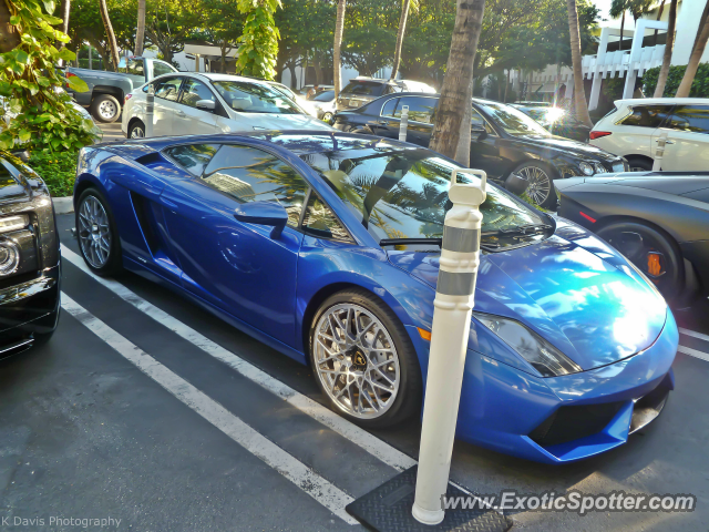 Lamborghini Gallardo spotted in Bal Harbour, Florida