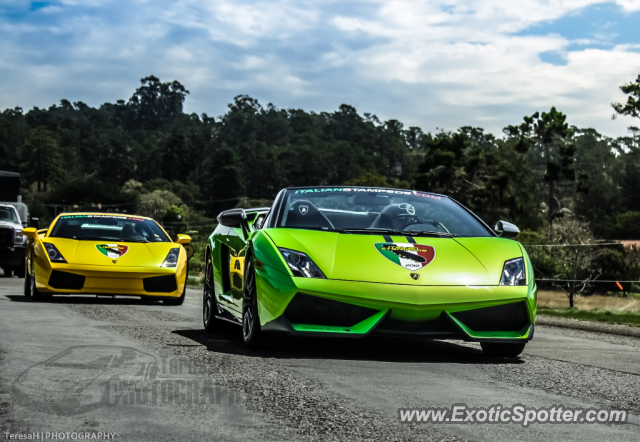 Lamborghini Gallardo spotted in Pebble Beach, California