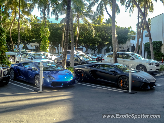 Lamborghini Aventador spotted in Bal Harbour, Florida