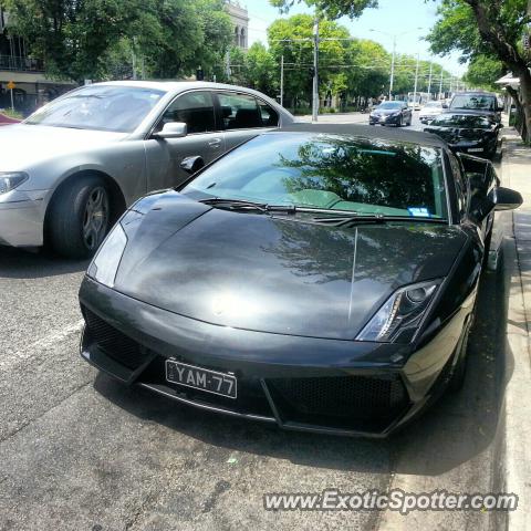 Lamborghini Gallardo spotted in Melbourne, Australia