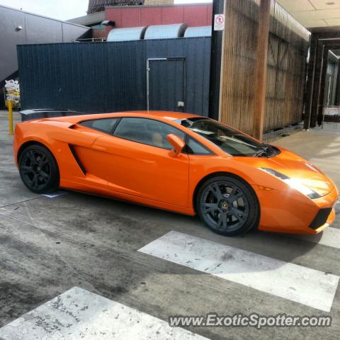 Lamborghini Gallardo spotted in Melbourne, Australia