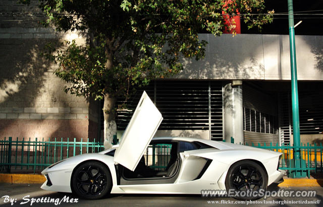 Lamborghini Aventador spotted in Ciudad de México, Mexico