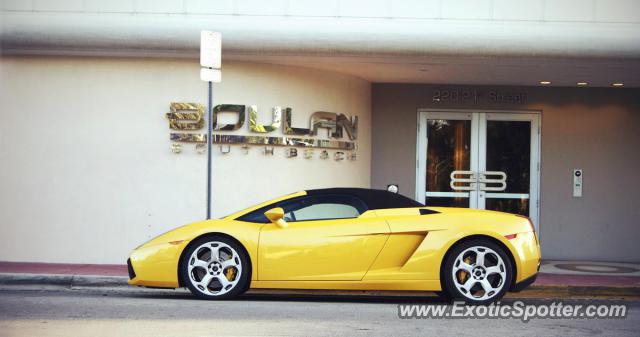 Lamborghini Gallardo spotted in Miami, Florida