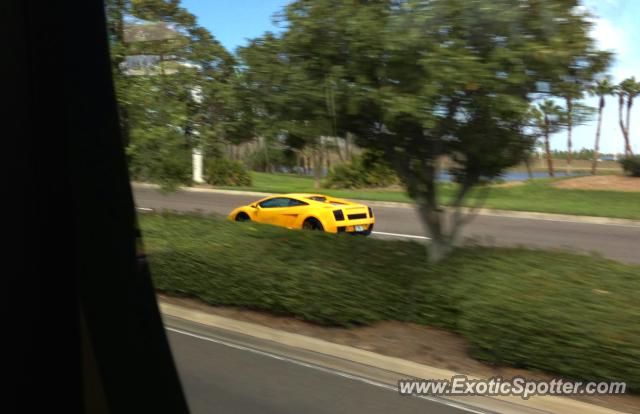 Lamborghini Gallardo spotted in Orlando, Florida