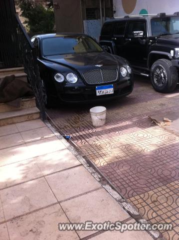 Bentley Continental spotted in Cairo, Egypt