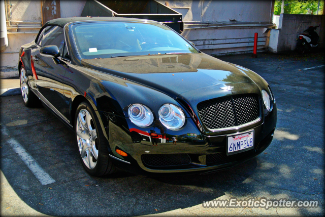 Bentley Continental spotted in Los Angeles, California