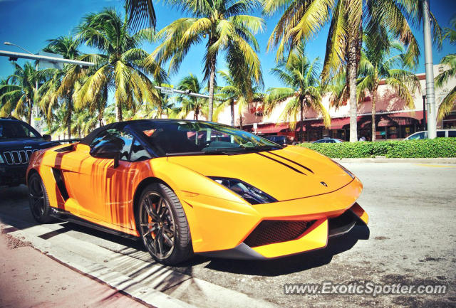 Lamborghini Gallardo spotted in Miami, Florida