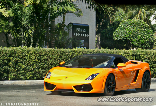 Lamborghini Gallardo spotted in Miami, Florida