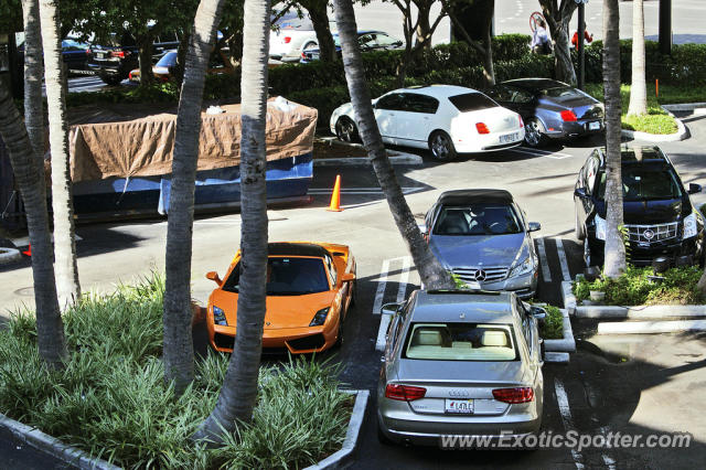 Lamborghini Gallardo spotted in Bal Harbour, Florida