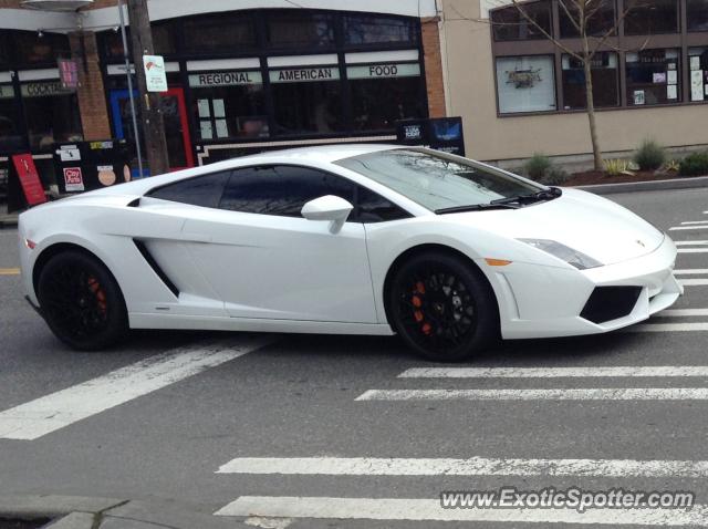 Lamborghini Gallardo spotted in Seattle, Washington