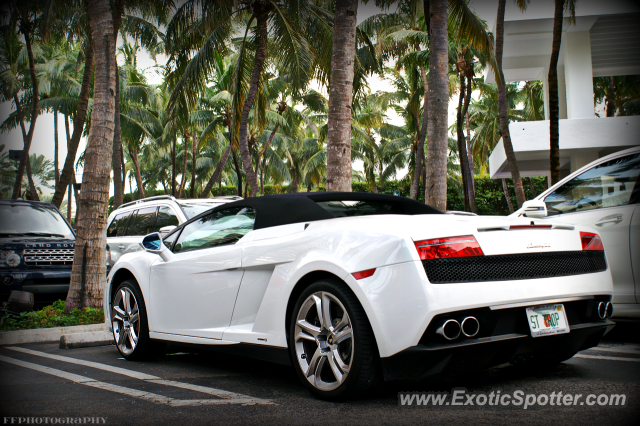 Lamborghini Gallardo spotted in Miami, Florida