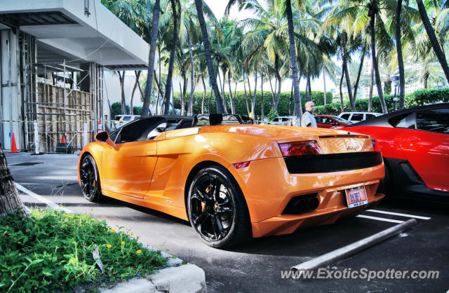 Lamborghini Gallardo spotted in Bal Harbour, Florida