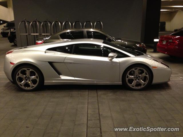 Lamborghini Gallardo spotted in Las Vegas, Nevada