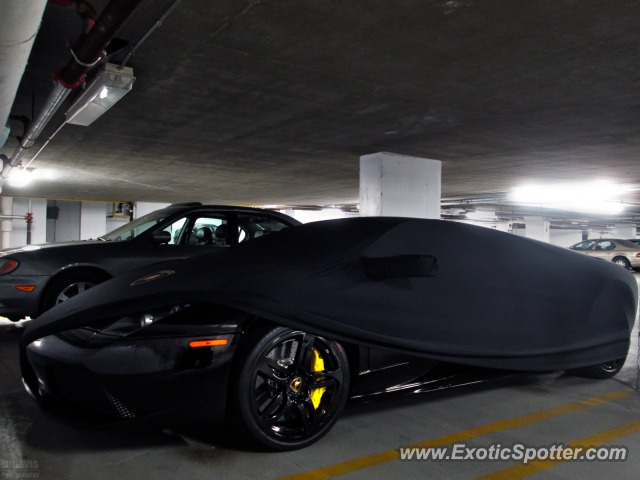 Lamborghini Murcielago spotted in Boston, Massachusetts