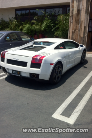 Lamborghini Gallardo spotted in Del Mar, California