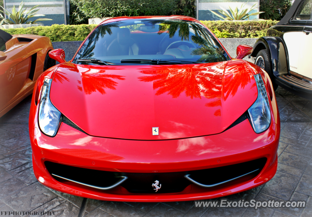 Ferrari 458 Italia spotted in Miami, Florida