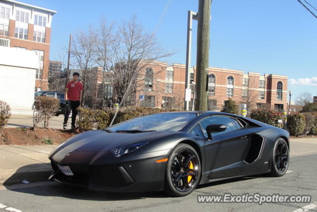 Lamborghini Aventador spotted in Arlington, Virginia