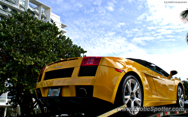 Lamborghini Gallardo spotted in Miami, Florida