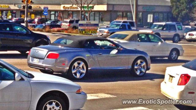 Bentley Continental spotted in Centennial, Colorado