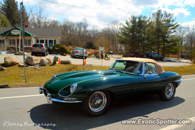 Jaguar E-Type spotted in Cross River, New York