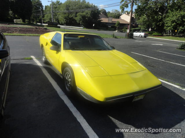 Other Kit Car spotted in Long Branch, New Jersey