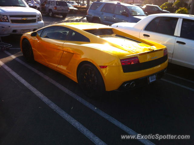 Lamborghini Gallardo spotted in Carmel Valley, California