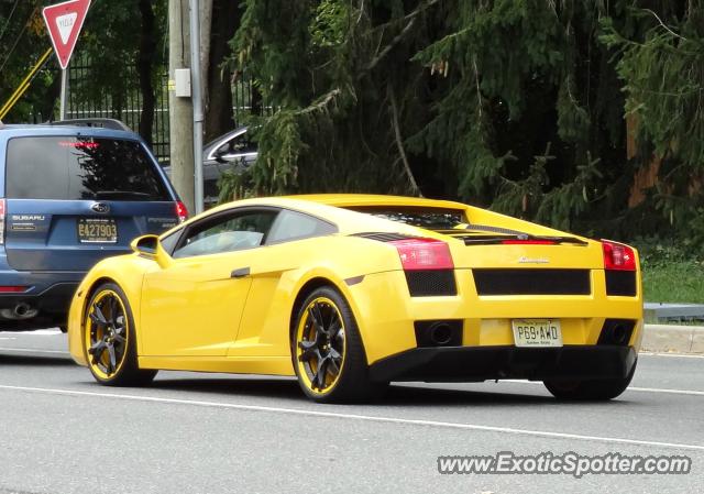 Lamborghini Gallardo spotted in Greenville, Delaware