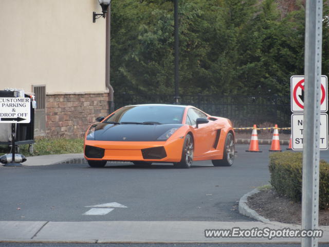 Lamborghini Gallardo spotted in Shrewsbury, New Jersey