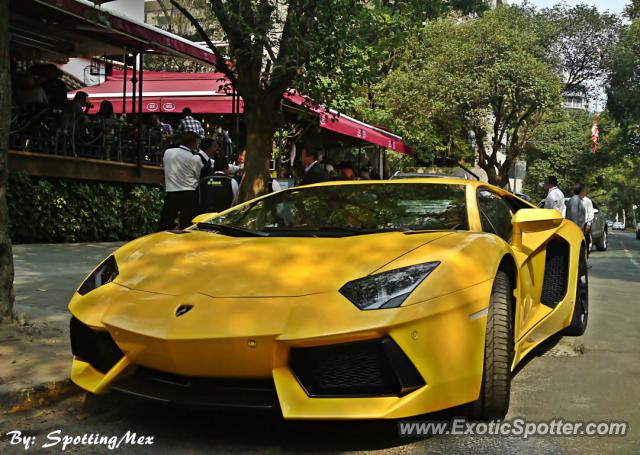 Lamborghini Aventador spotted in Ciudad de México, Mexico