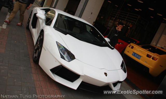 Lamborghini Aventador spotted in Shanghai, China