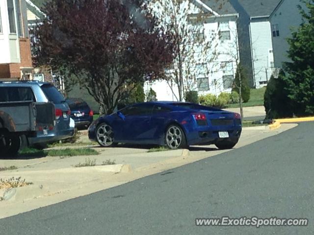 Lamborghini Gallardo spotted in Manassas, Virginia