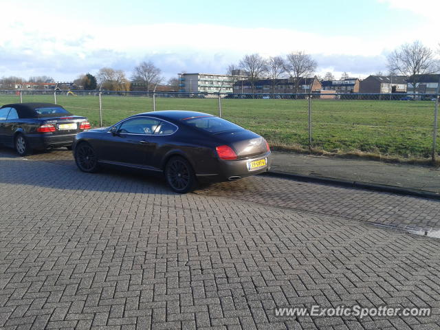 Bentley Continental spotted in Hellevoetsluis, Netherlands